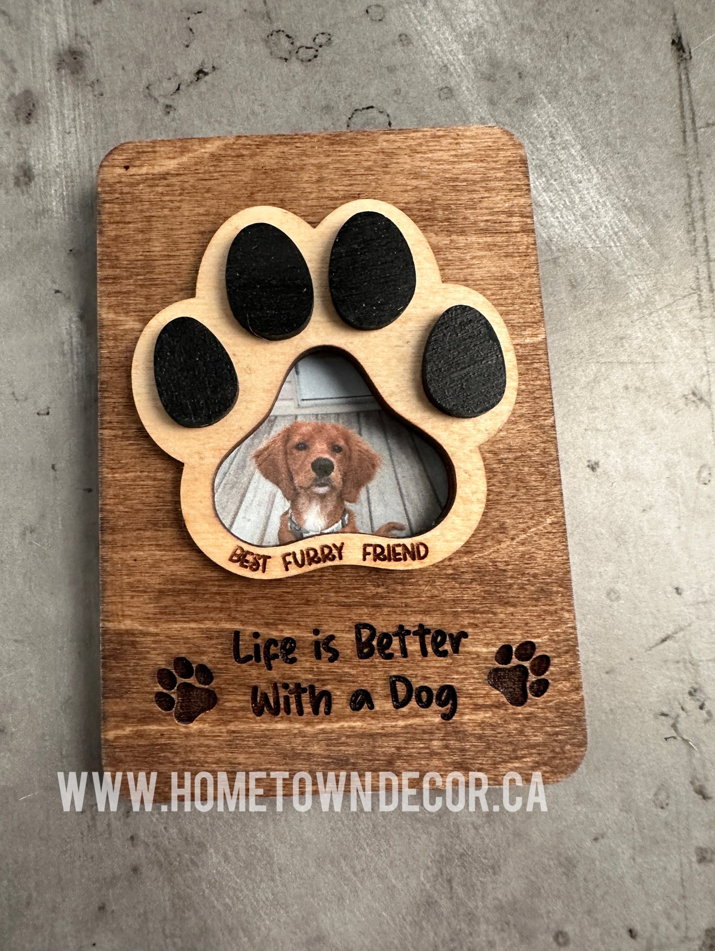 Pet Magnetic photo holder