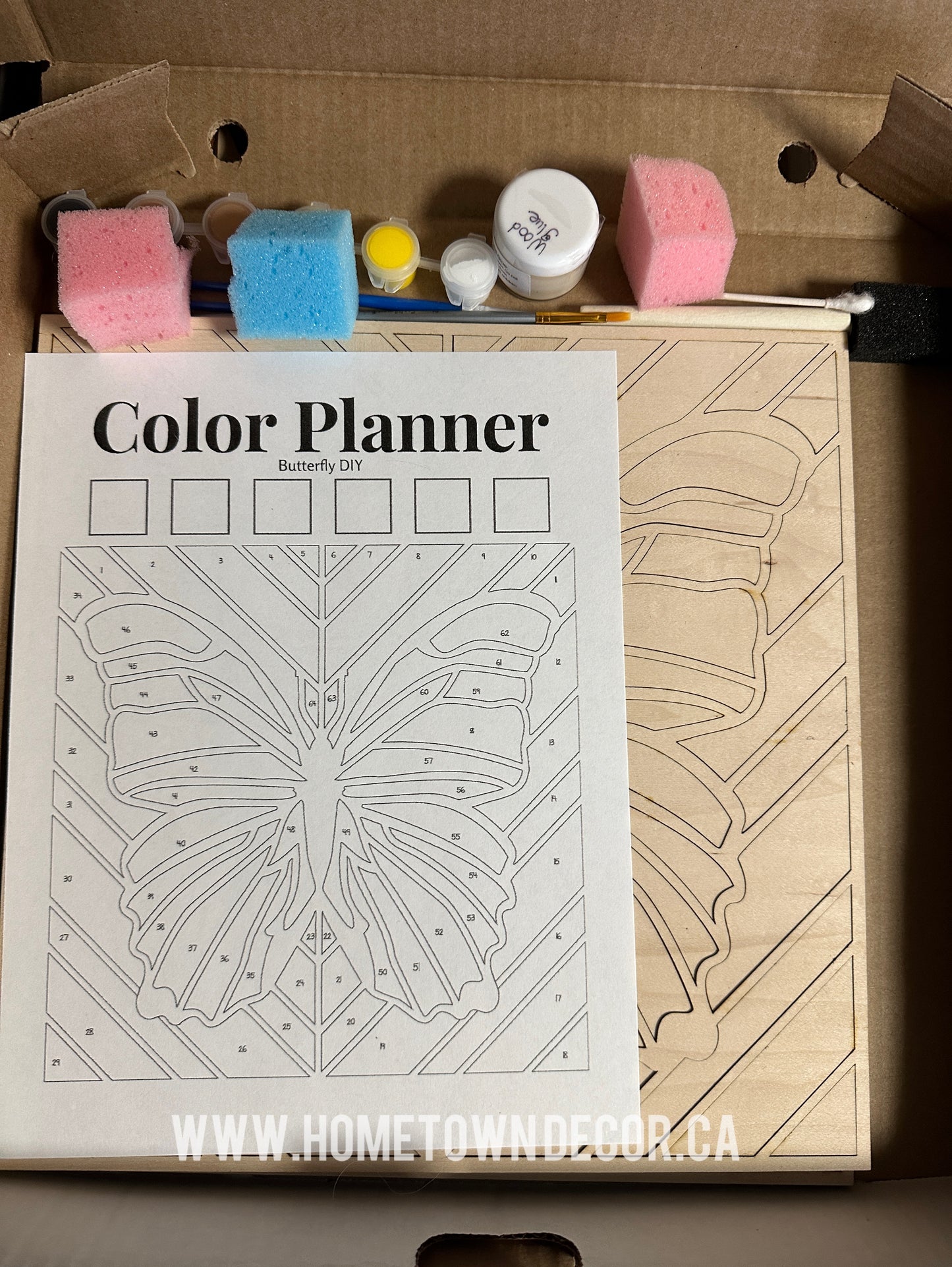 Butterfly DIY Kit