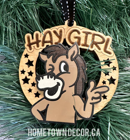 Sassy animal ornaments